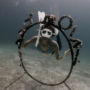 Intro to Freediving 2 days